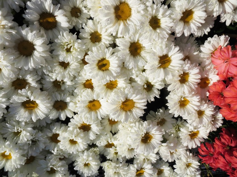 IMG_0012 - Copy_edited