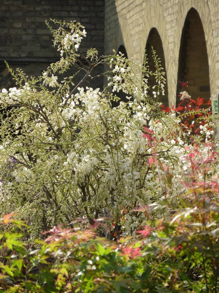 976271_549401381765479_1248862755_o