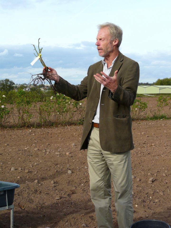 292053_268357303203223_2034923660_n