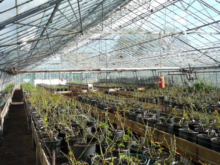 294860_268355909870029_1310064049_n