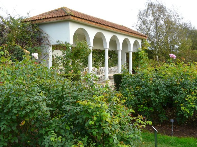 298544_268357726536514_1106269584_n