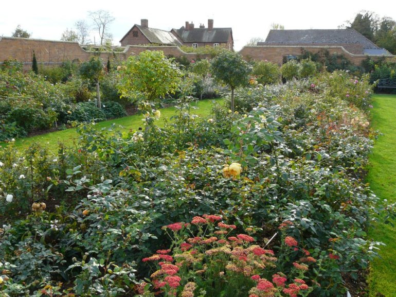 299631_268358293203124_1045147503_n