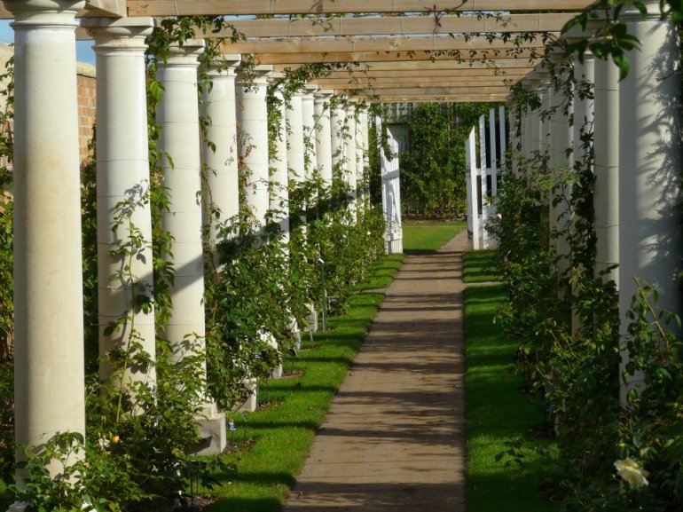 301485_268356446536642_800053967_n