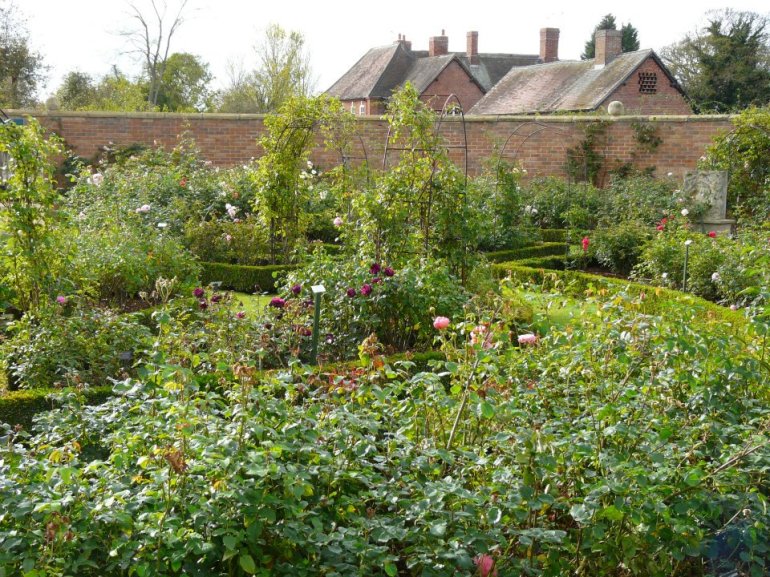 303125_268357066536580_388839255_n