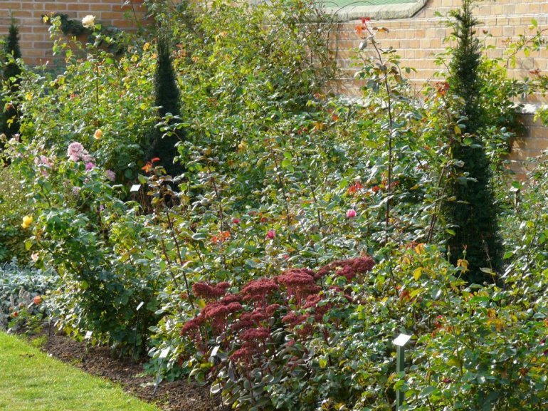 303931_268358366536450_281662987_n