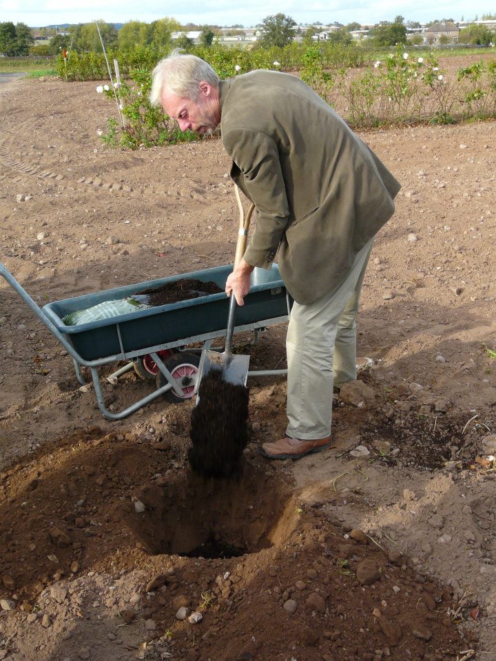 305452_268357386536548_657004087_n