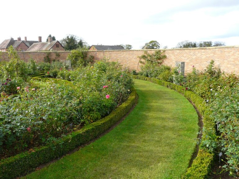 308493_268356989869921_1517020024_n