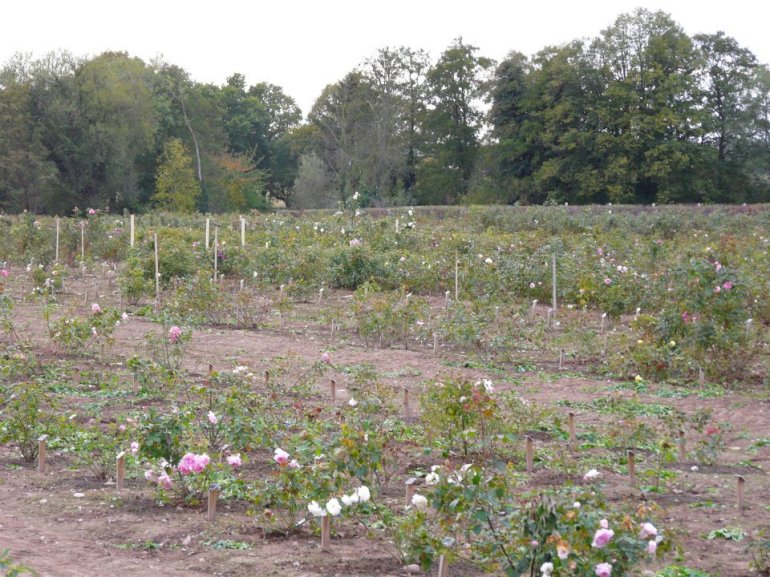 308744_268359713202982_29600559_n