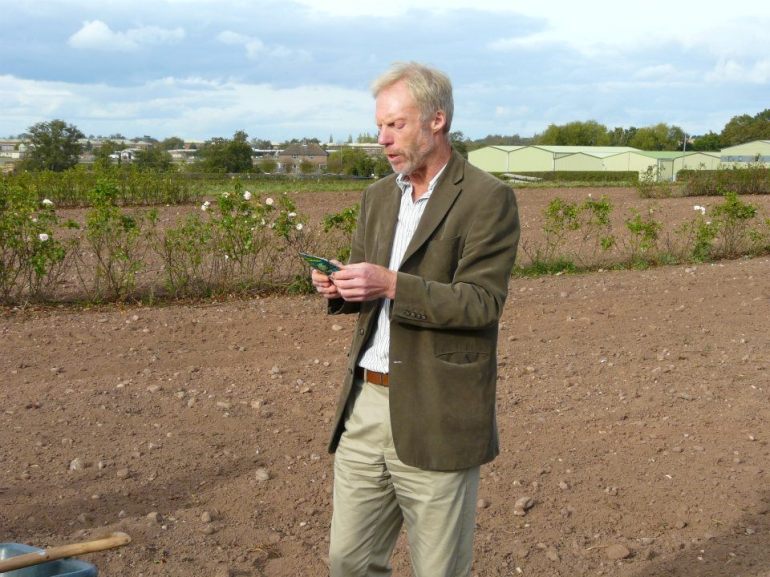 309821_268357353203218_484231789_n