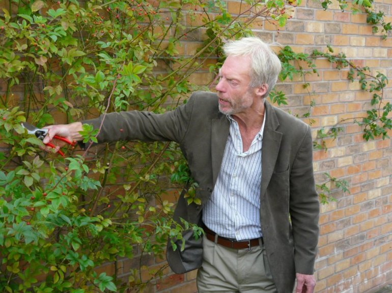 318572_268357653203188_1919264748_n