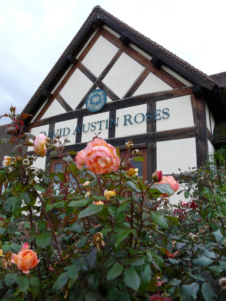 319591_268359619869658_1727104612_n