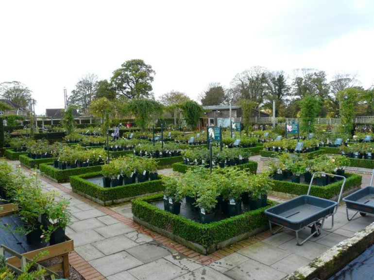 319601_268356633203290_1114488277_n