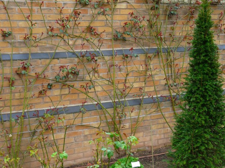 526781_363082427064043_275357433_n