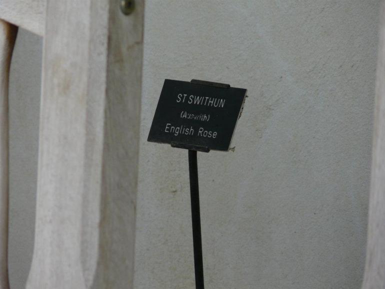 530016_363082093730743_23633976_n