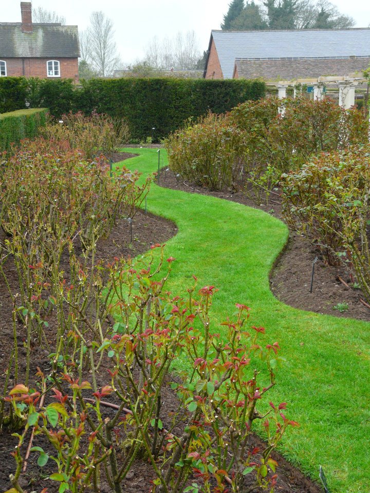 530082_363082227064063_1562266590_n