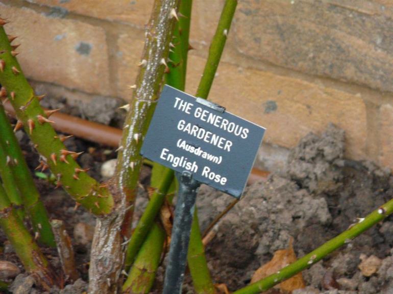 536780_363082283730724_1804552771_n