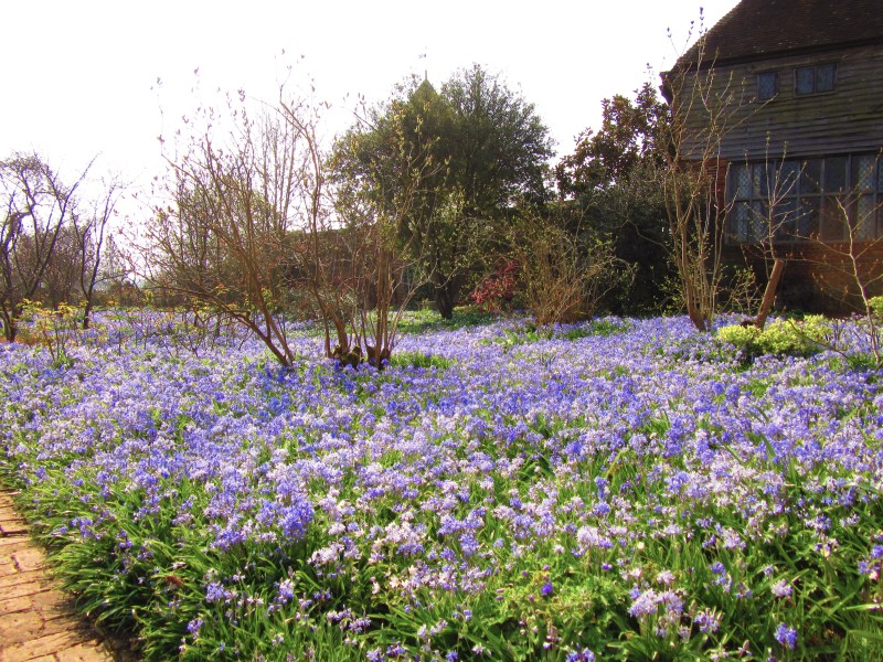 Sissinghurst Spring Spring began to fizz at Sissinghurst Castle, a look back to 2015 – and ...