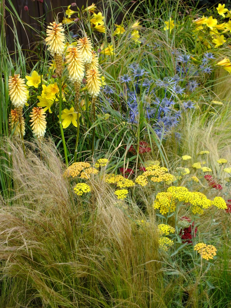 Mixed herbaceous grasses Hampton Court 2014