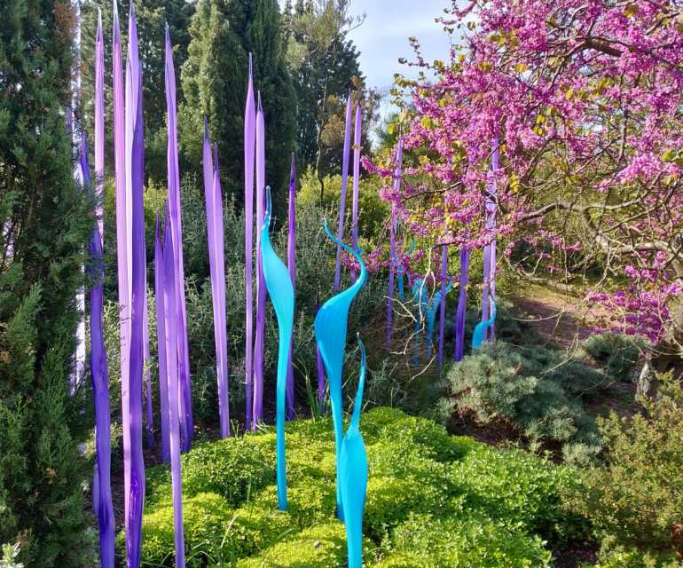 IMG_20190507_121703_947