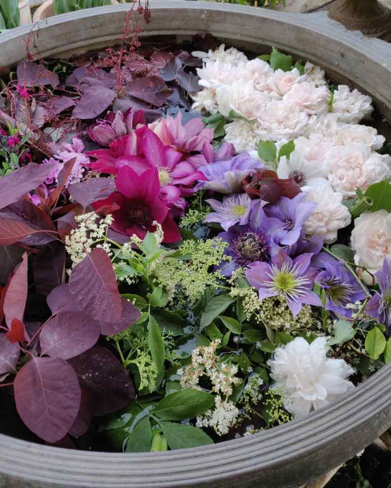 IMG_20190515_184012_217