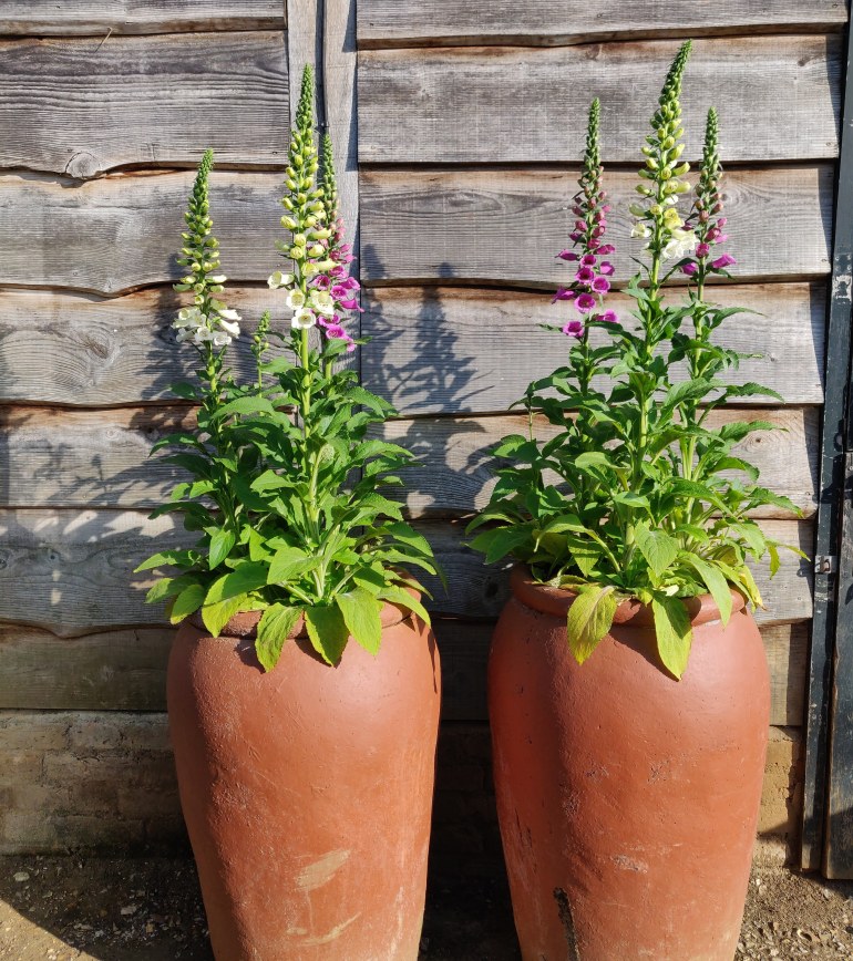 IMG_20190515_185550_457