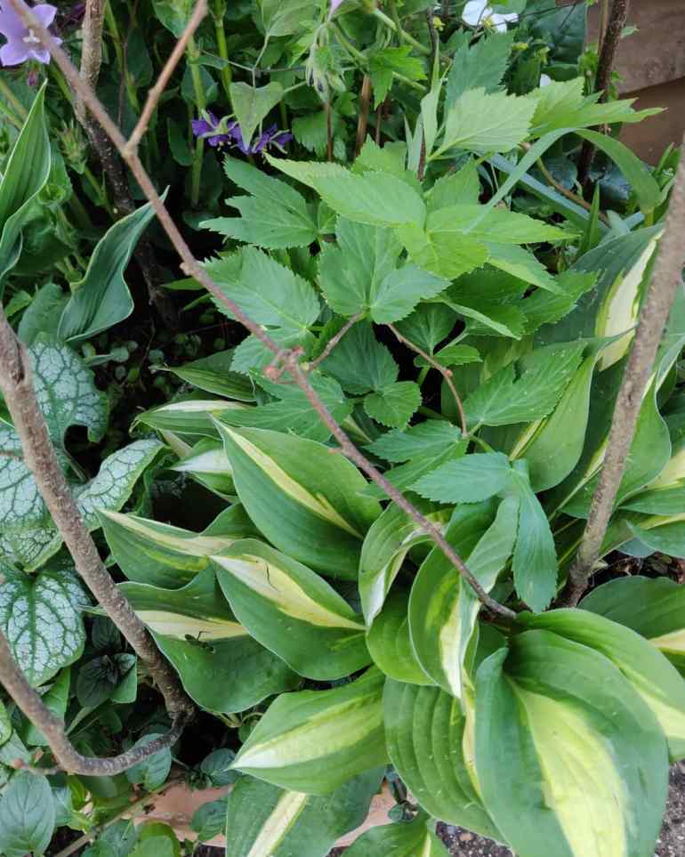 IMG_20190515_185645_171