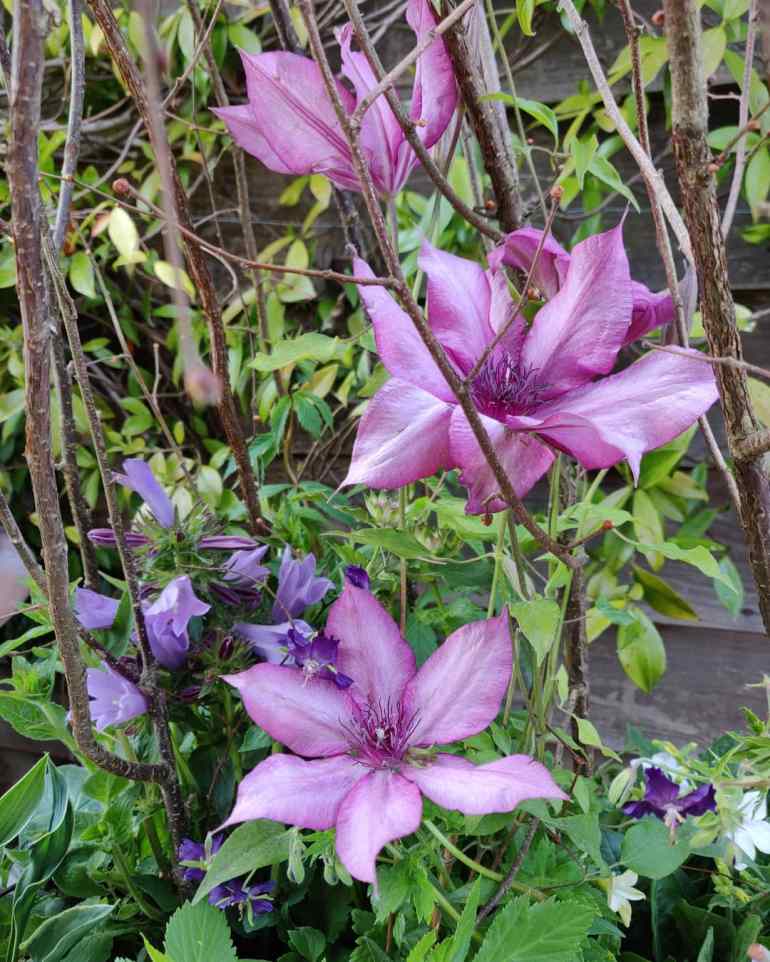 IMG_20190515_185645_172