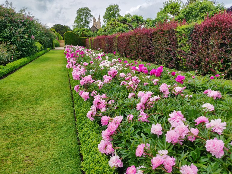 IMG_20190609_130223_601